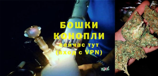 прущие грибы Осташков