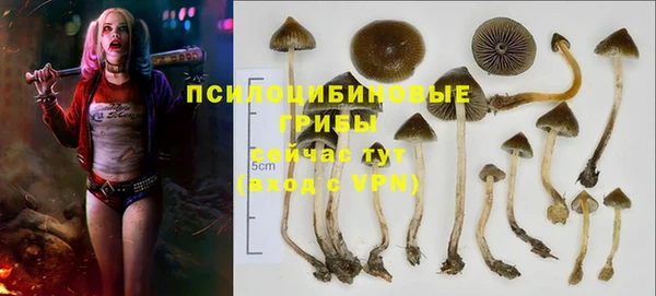 спиды Остров