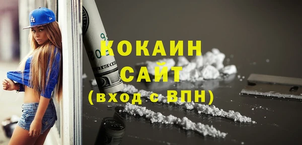 хмурый Осинники