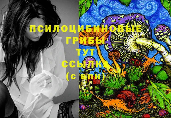 хмурый Осинники