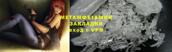 прущие грибы Осташков