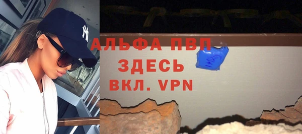прущие грибы Осташков