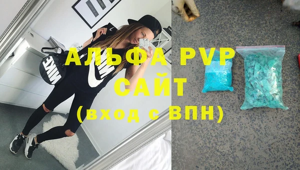 хмурый Осинники