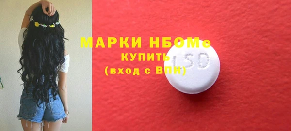 хмурый Осинники