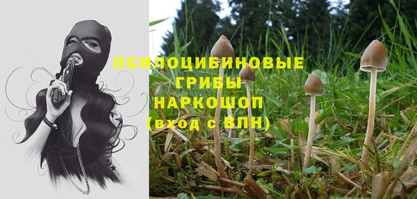 хмурый Осинники