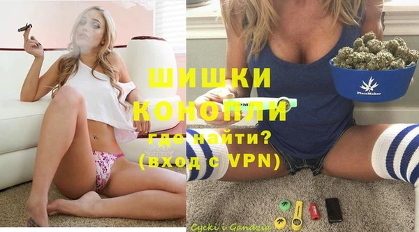 хмурый Осинники