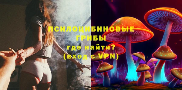 хмурый Осинники