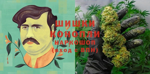 хмурый Осинники