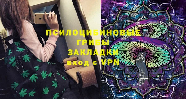 прущие грибы Осташков