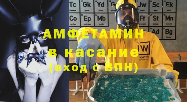 прущие грибы Осташков