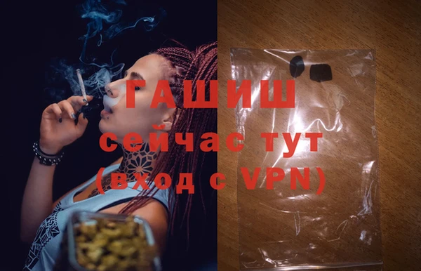хмурый Осинники