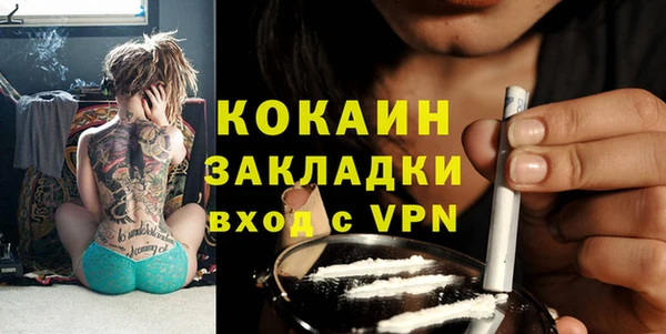 прущие грибы Осташков