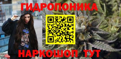 PSILOCYBIN Кинель