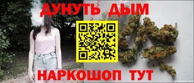 дживик Кингисепп