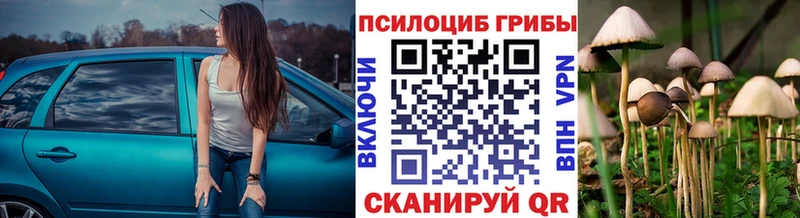 МЕГА ССЫЛКА  Ярославль  Галлюциногенные грибы GOLDEN TEACHER  купить закладку 