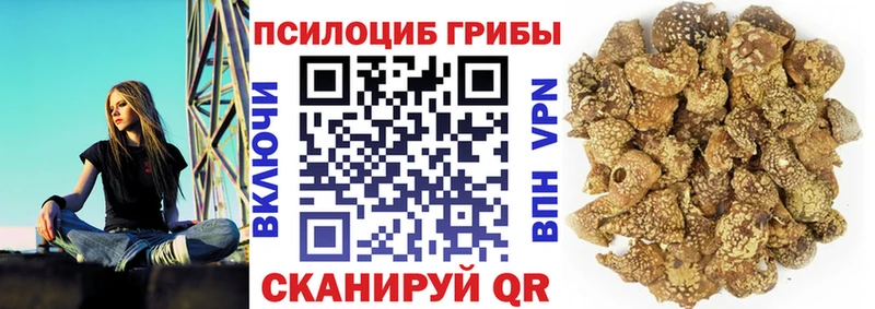Галлюциногенные грибы Cubensis Ярославль